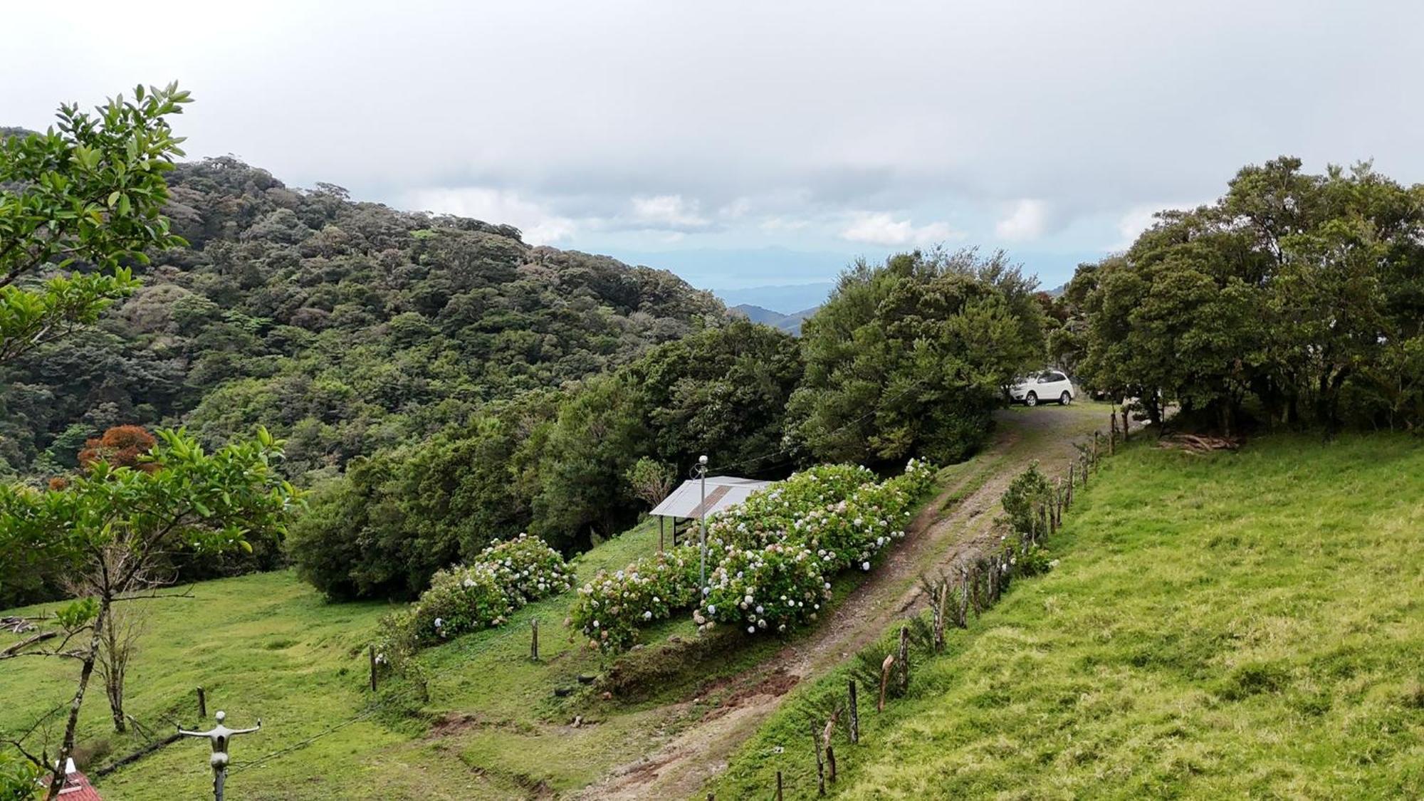 Dadirri House Minicasa Santa Elena Monteverde Ngoại thất bức ảnh